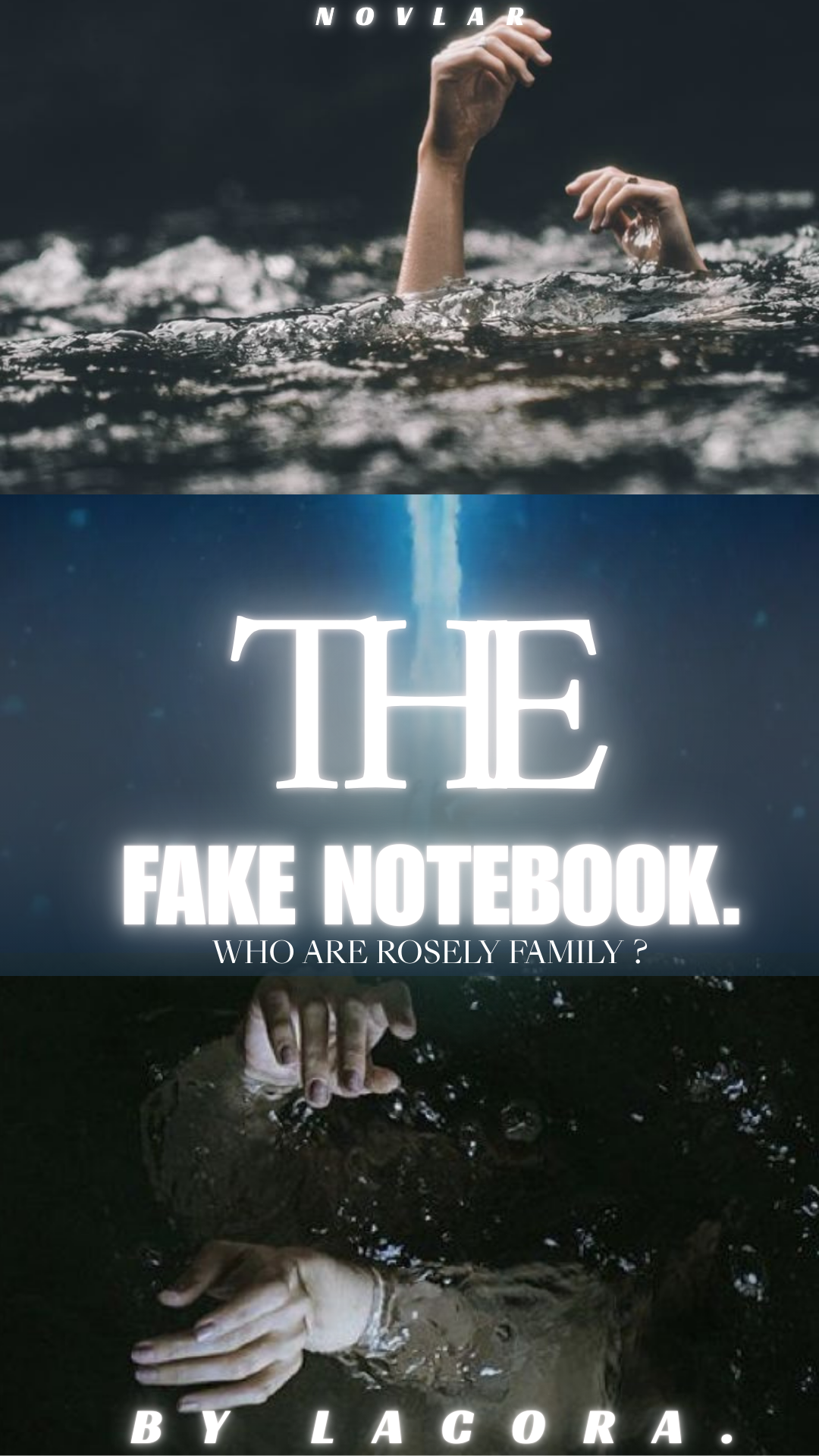 THE FAKE NOTEBOOK| المذكرات المزيفة 